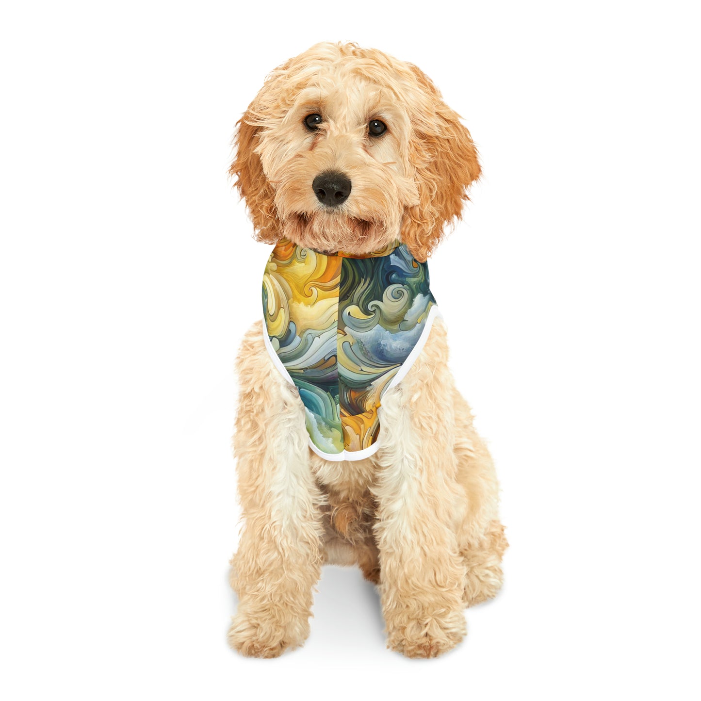 Vibrant Vortex Symphony - Pet Hoodie