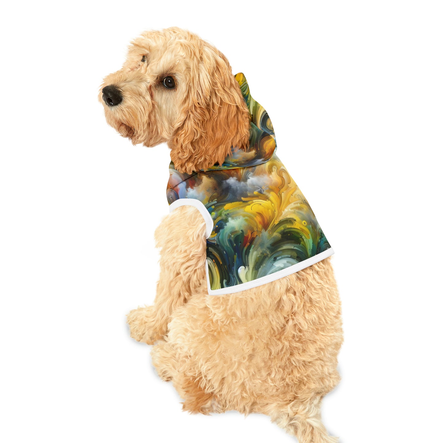 Chromatic Vortex Symphony - Pet Hoodie