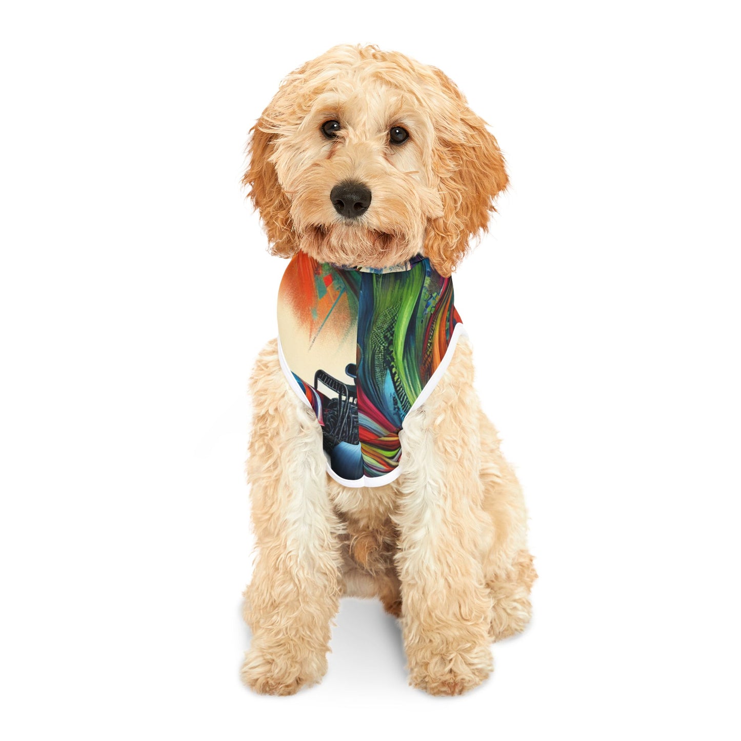 Velocity Vortex - Pet Hoodie