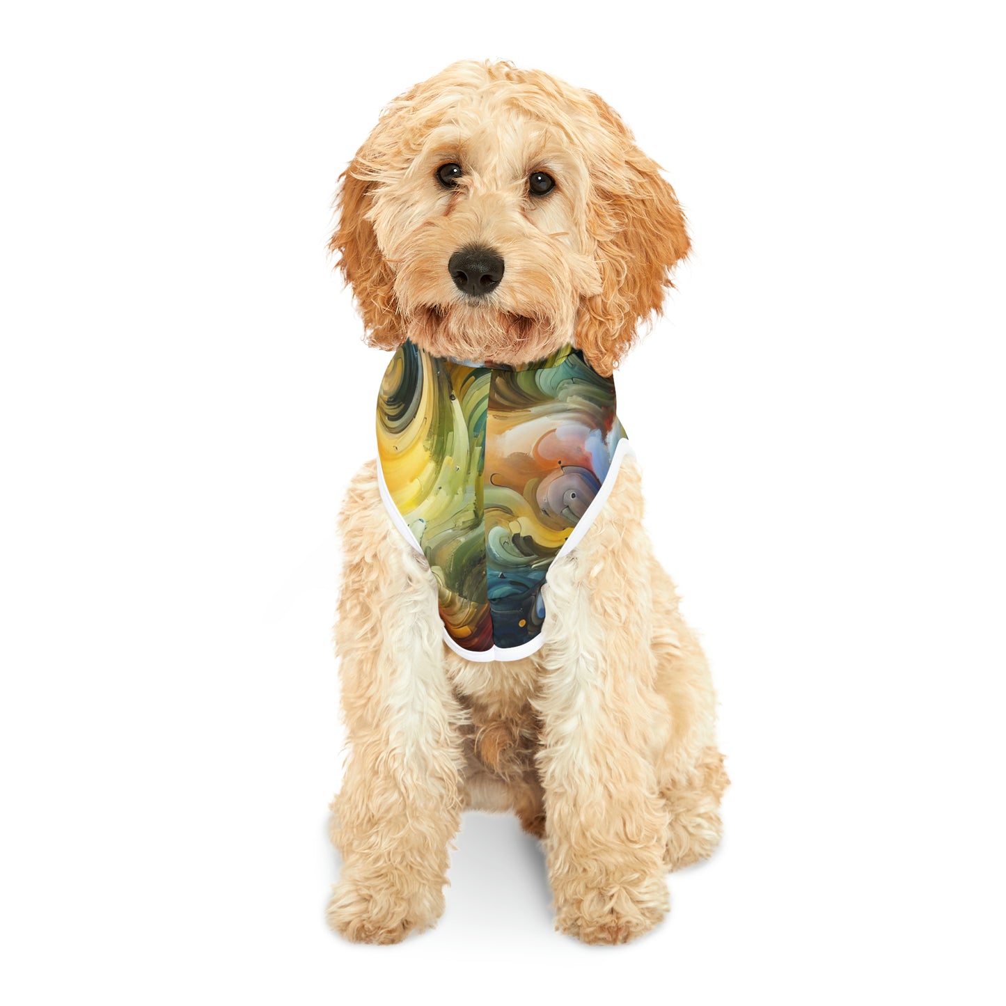 Chromatic Vortex Symphony - Pet Hoodie