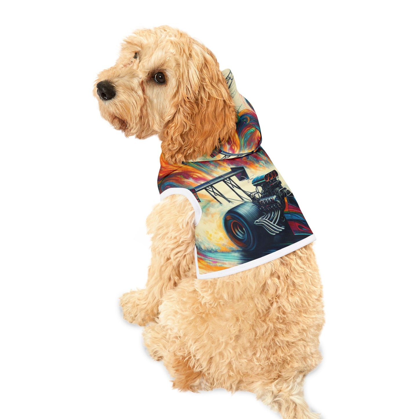 Velocity Vortex - Pet Hoodie